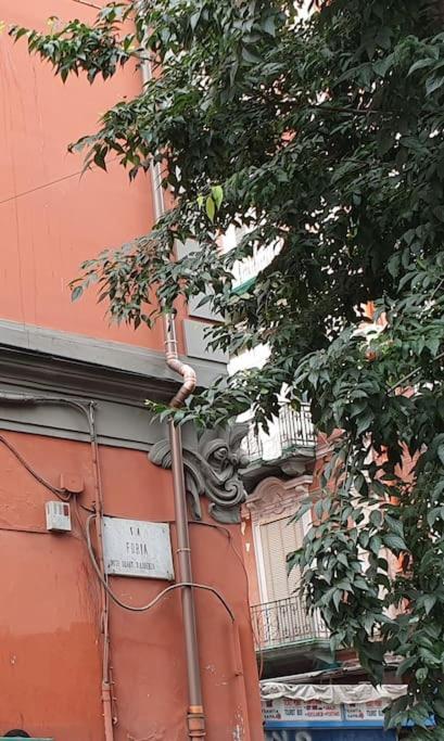 Apartment Confort In The Historic Spanish Center Naples