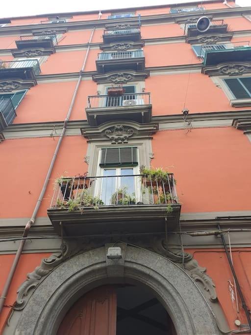 Confort In The Historic Spanish Center Apartment